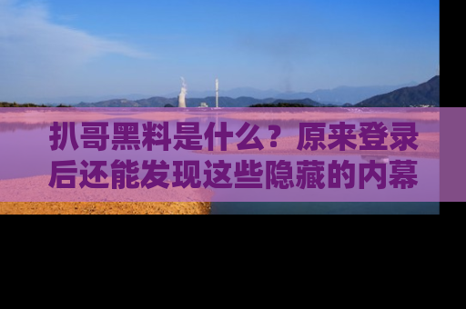 扒哥黑料是什么?原来登录后还能发现这些隐藏的内幕!