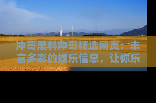 冲哥黑料冲哥精选网页：丰富多彩的娱乐信息，让你乐不停息
