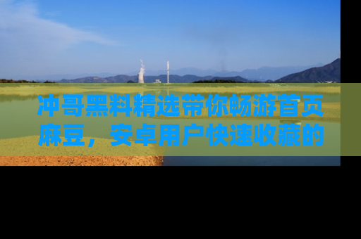 冲哥黑料精选带你畅游首页麻豆，安卓用户快速收藏的秘密武器！