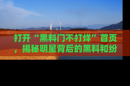 打开“黑料门不打烊”首页，揭秘明星背后的黑料和纷争真相！