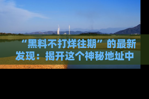 “黑料不打烊往期”的最新发现:揭开这个神秘地址中的爆笑黑料面纱
