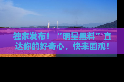 独家发布！“明星黑料”直达你的好奇心，快来围观！