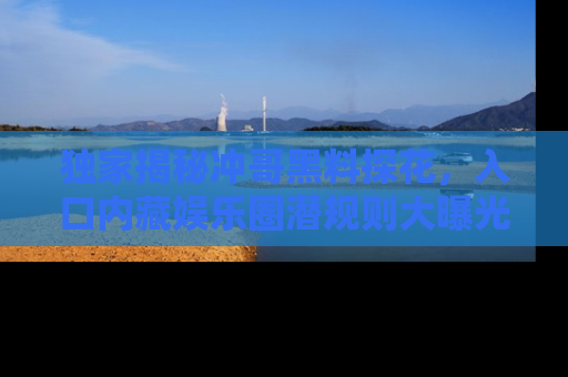 独家揭秘冲哥黑料探花，入口内藏娱乐圈潜规则大曝光