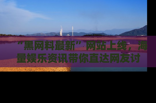 “黑网料最新”网站上线,海量娱乐资讯带你直达网友讨论的中心!
