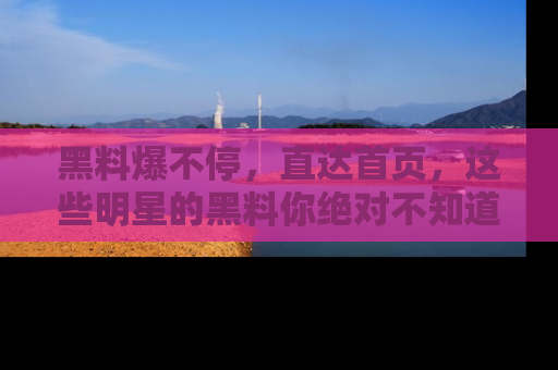 黑料爆不停，直达首页，这些明星的黑料你绝对不知道！