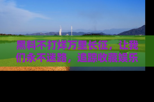 黑料不打烊万里长征，让我们永不迷路，追踪收藏娱乐爆料的乐趣！