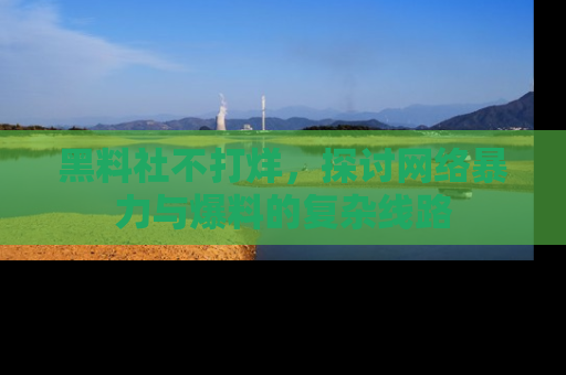 黑料社不打烊，探讨网络暴力与爆料的复杂线路