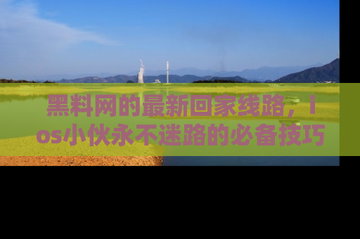 黑料网的最新回家线路，ios小伙永不迷路的必备技巧！