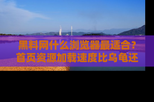 黑料网什么浏览器最适合？首页资源加载速度比乌龟还慢的体验真心吐槽！