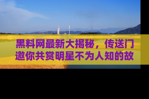 黑料网最新大揭秘，传送门邀你共赏明星不为人知的故事！