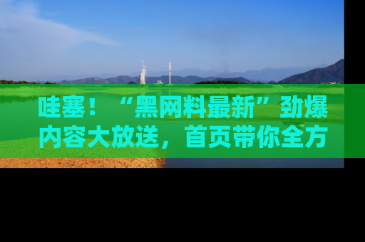 哇塞!“黑网料最新”劲爆内容大放送,首页带你全方位了解哦,小可爱们
