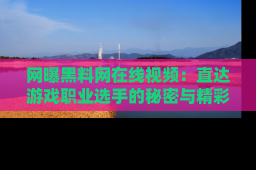 网曝黑料网在线视频:直达游戏职业选手的秘密与精彩动漫片段!