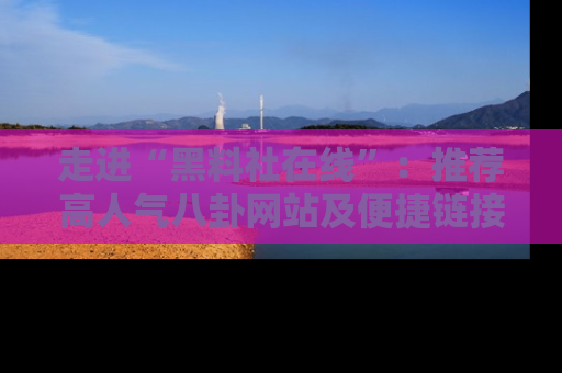 走进“黑料社在线”：推荐高人气八卦网站及便捷链接的全面指南