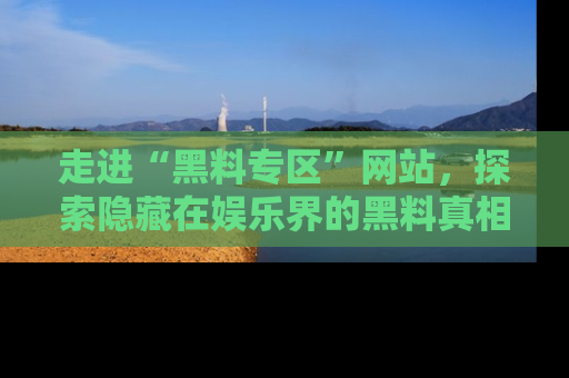 走进“黑料专区”网站，探索隐藏在娱乐界的黑料真相